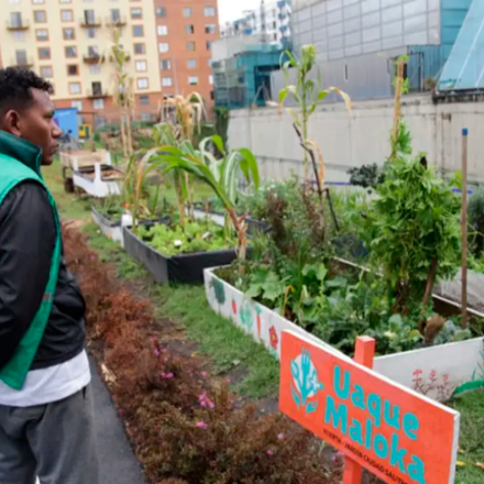 De la cocina a la tierra: nuestros residuos orgánicos siguen el ciclo