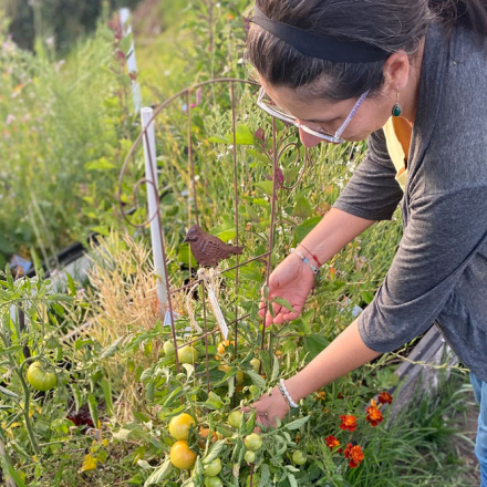 Taller de arqueobotánica en Maloka