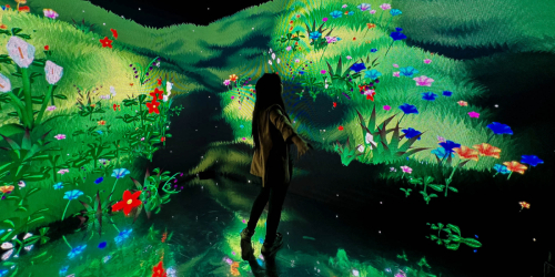 Con Gente Convergente, Bogotá proyecta su talento creativo al mundo con mentorías internacionales en animación y videojuegos