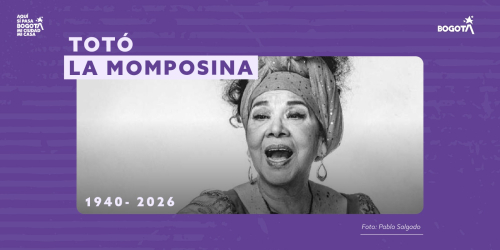 totó la momposina