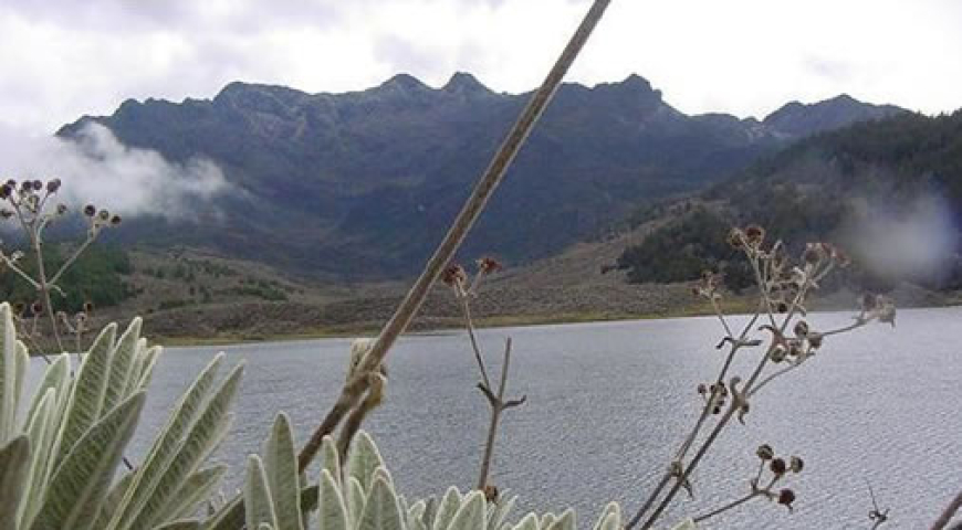 Los páramos, fábricas de agua