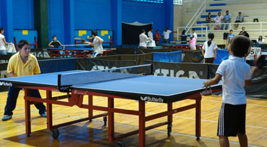Raquetas y juegos de ping pong raqueta deportiva federación