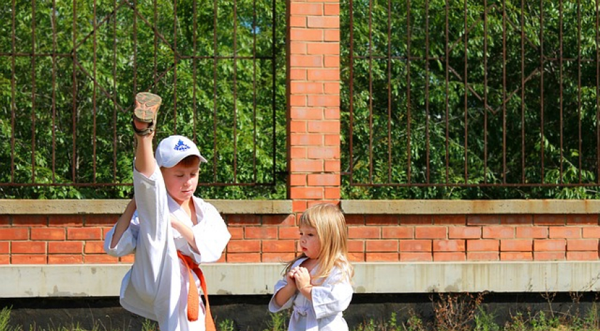 Niños haciendo Karate. Foto: Pixabay.