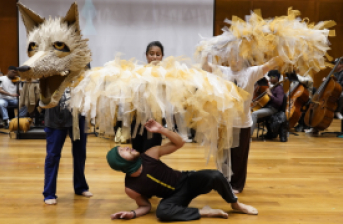 Obra Pedro y el lobo - FIAV
