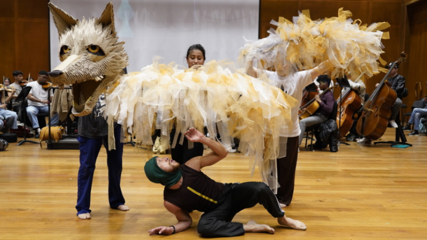 Obra Pedro y el lobo - FIAV