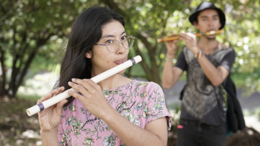 musicos flautistas