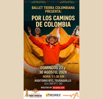 información genérica de la obra