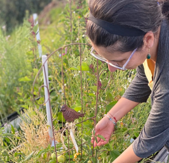 Un día en la huerta (Minga)
