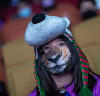 Niño disfrazado con máscara de tigre y sombrero de perro