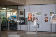 Fotografía de una exposición en el Centro Felicidad Chapinero